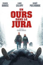 Un ours dans le Jura